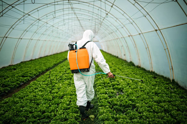 Best Best Pest Control Companies  in Williston, FL