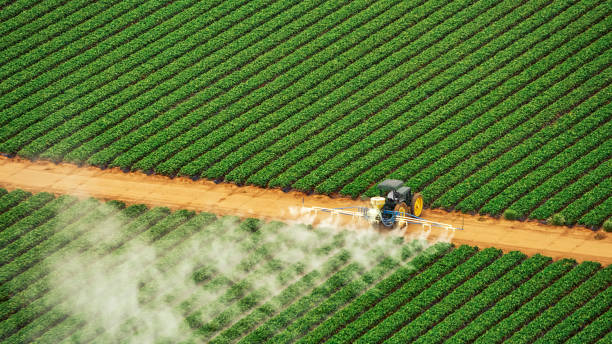  Williston, FL Pest Control Pros