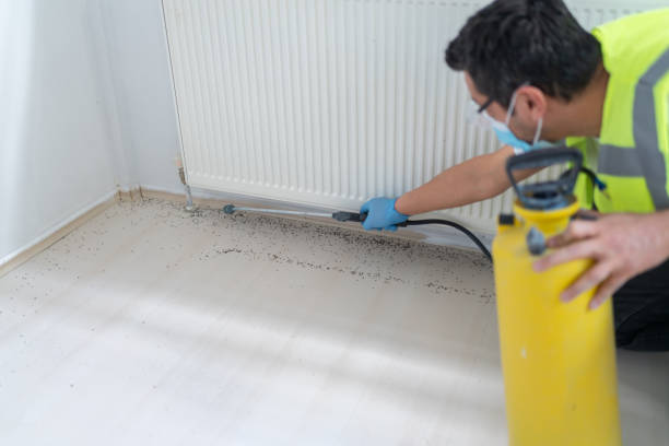 Best Commercial Pest Control Services  in Williston, FL